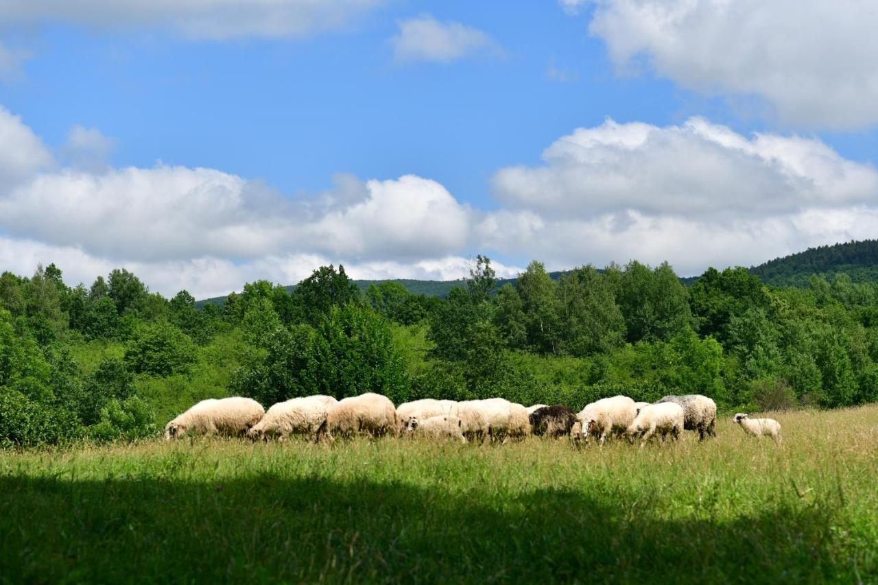 Natura Hause Rakovica Extérieur photo
