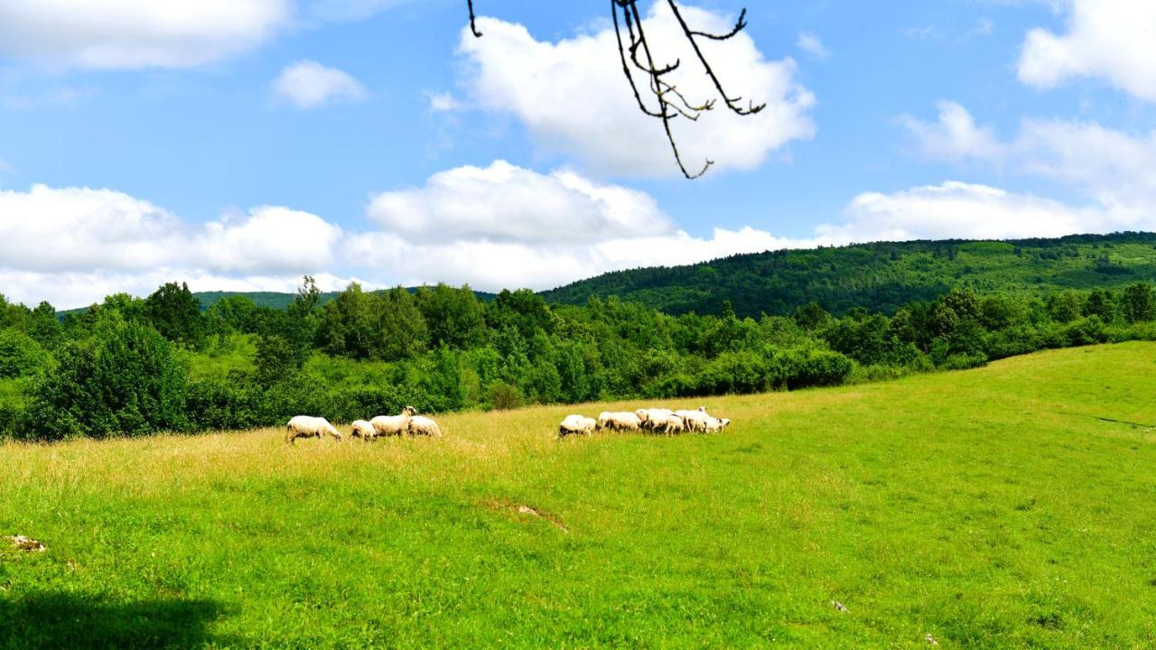 Natura Hause Rakovica Extérieur photo