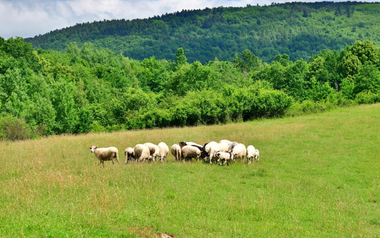 Natura Hause Rakovica Extérieur photo