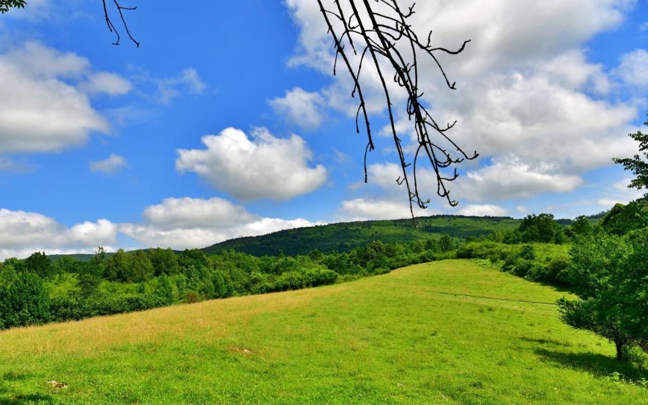 Natura Hause Rakovica Extérieur photo