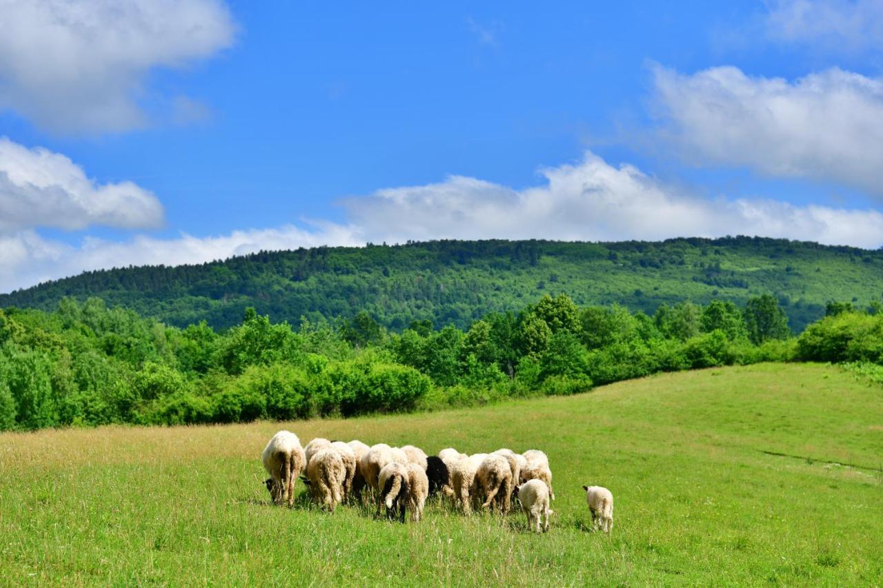 Natura Hause Rakovica Extérieur photo